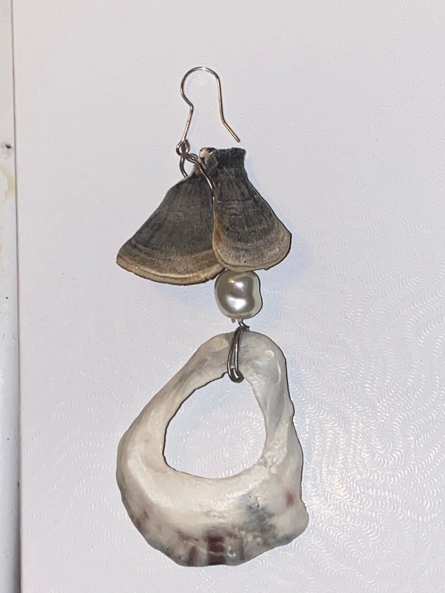 Trametes mushroom/Oyster shell Single Earring