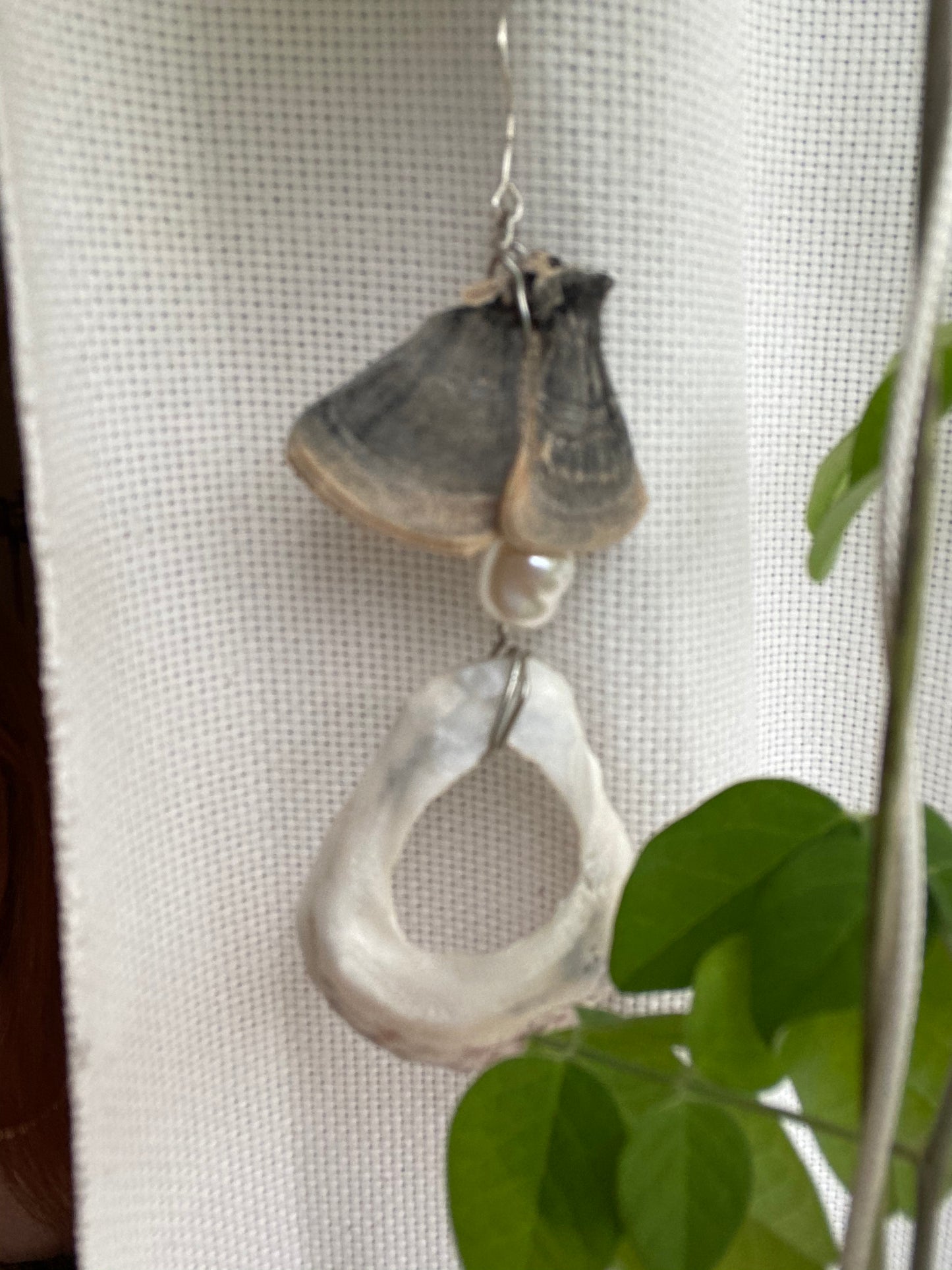 Trametes mushroom/Oyster shell Single Earring